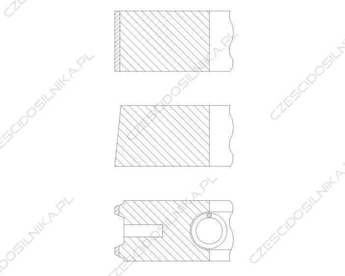 DM03803 (1)