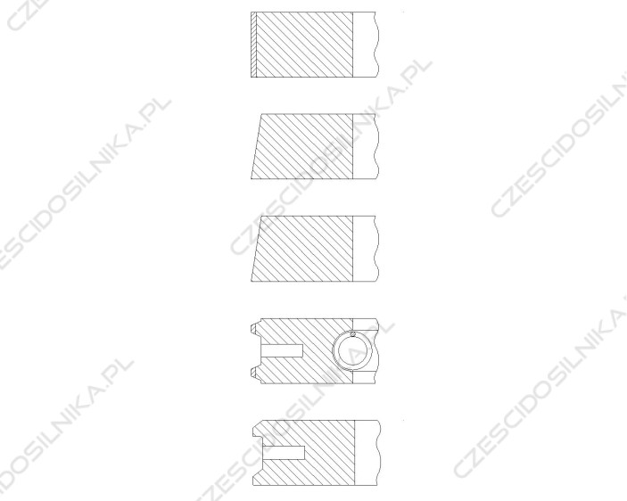 DM04299 (1)