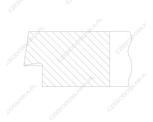 DM09248