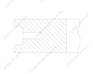DM09672